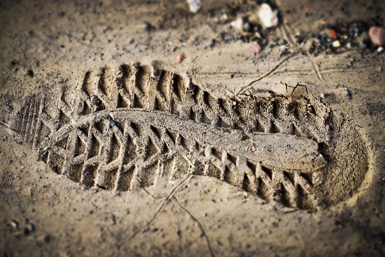 découvrez ce qu'est l'empreinte carbone, son impact sur l'environnement et les moyens de la réduire pour un avenir durable. apprenez à évaluer votre empreinte pour contribuer à la protection de la planète.