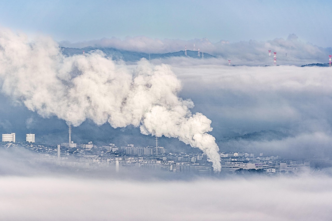 découvrez tout ce que vous devez savoir sur l'empreinte carbone : son impact sur l'environnement, comment la mesurer et les étapes pour la réduire. adoptez des pratiques durables et contribuez à la protection de notre planète.