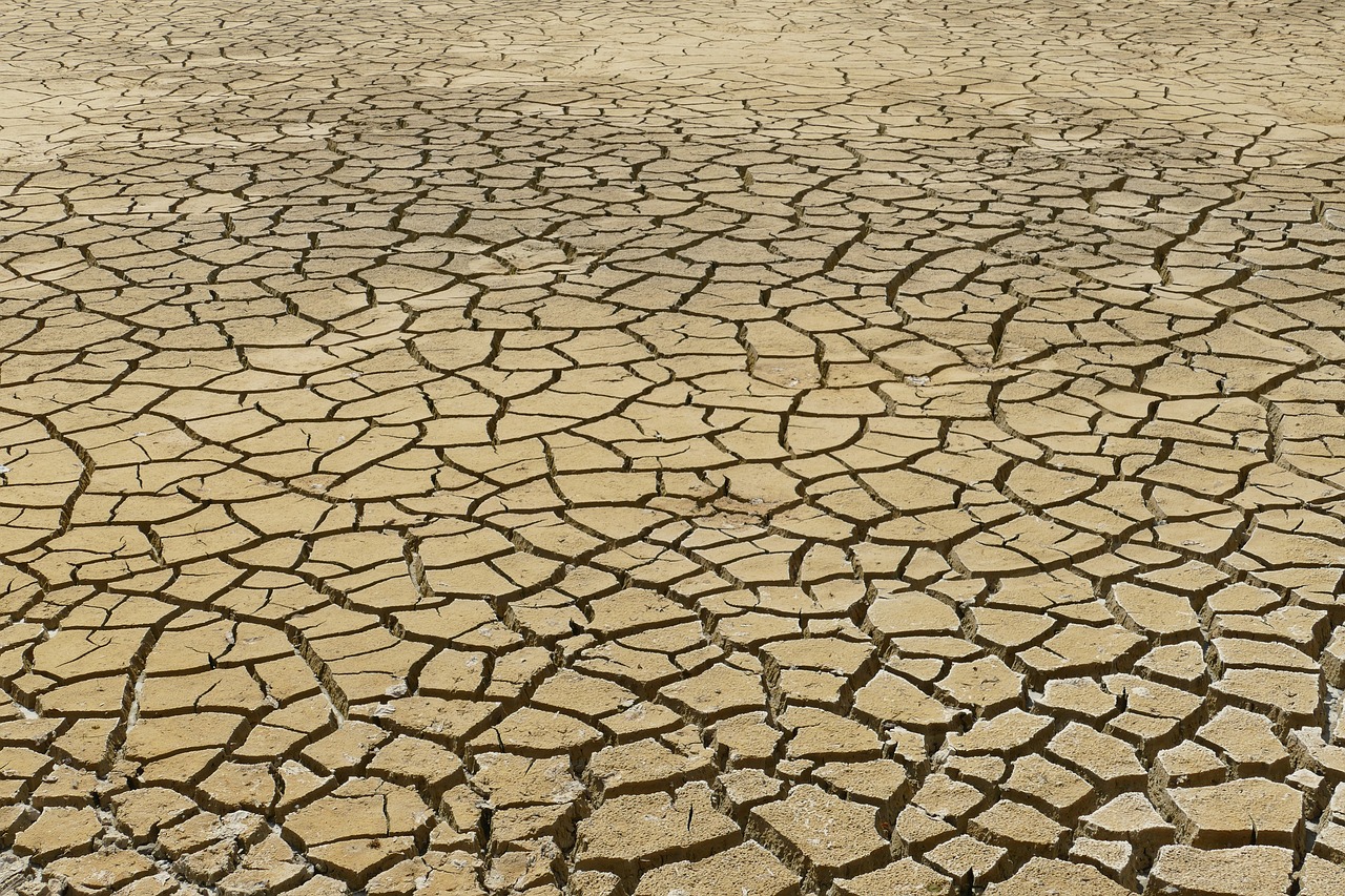 découvrez les enjeux du changement climatique, ses impacts sur notre planète et les actions nécessaires pour préserver notre environnement. informez-vous sur les solutions et engagez-vous pour un avenir durable.