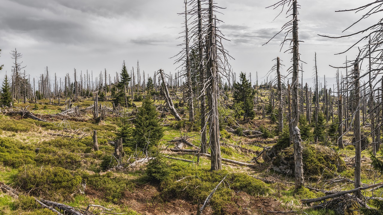 découvrez nos initiatives pour la protection de l'environnement, des conseils pratiques pour réduire votre empreinte écologique et des informations sur les actions locales en faveur de la planète.