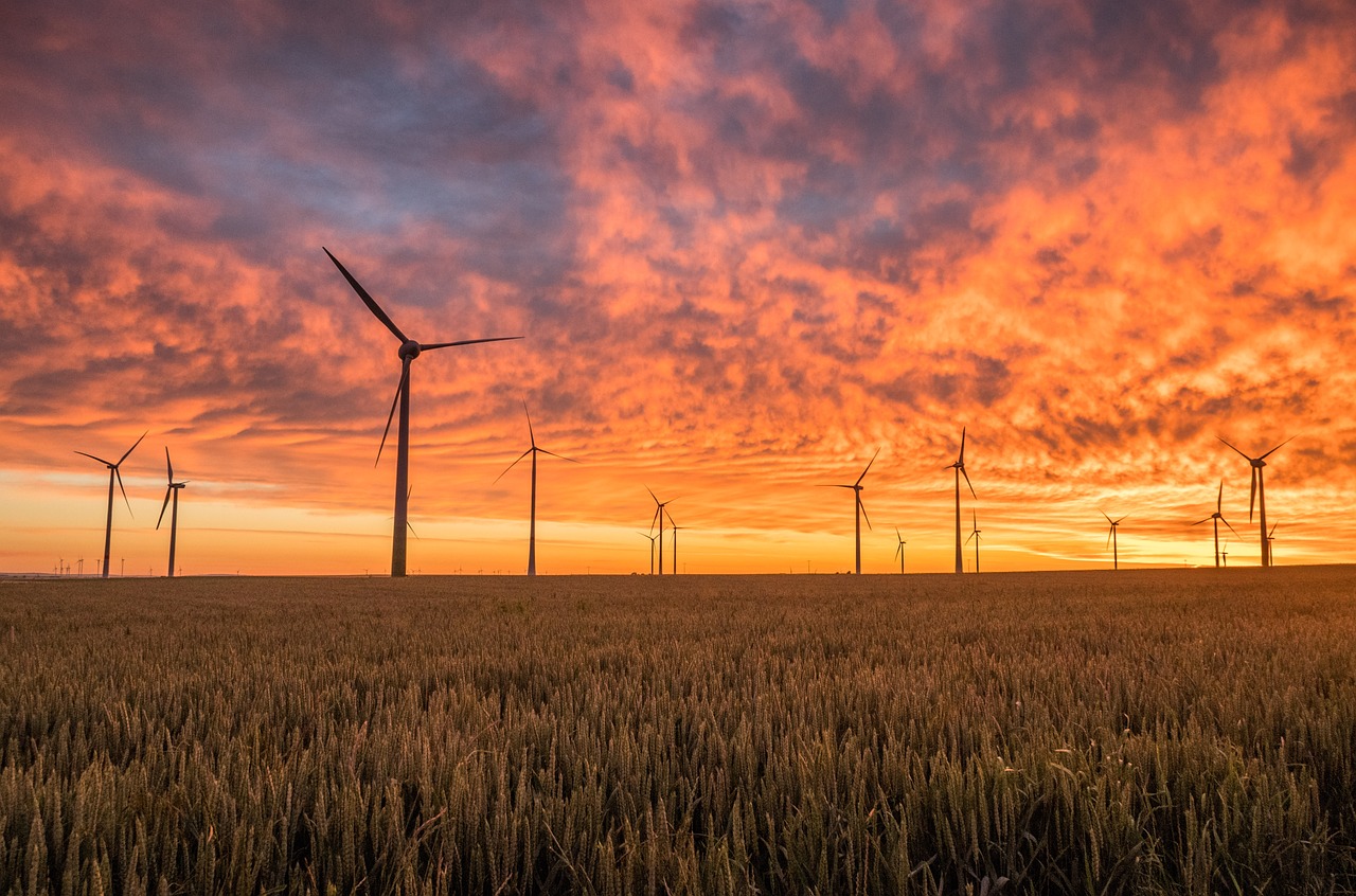 découvrez les avantages des énergies renouvelables pour un avenir durable. explorez les différentes sources telles que le solaire, l'éolien et l'hydraulique, et apprenez comment elles peuvent réduire notre empreinte carbone tout en répondant à nos besoins énergétiques.