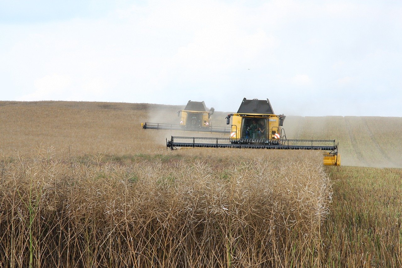 découvrez l'agriculture durable : une approche innovante qui vise à préserver l'environnement tout en garantissant la sécurité alimentaire. apprenez les pratiques écoresponsables, les techniques de culture respectueuses de la biodiversité et les bénéfices d'une agriculture qui prend soin de notre planète pour les générations futures.