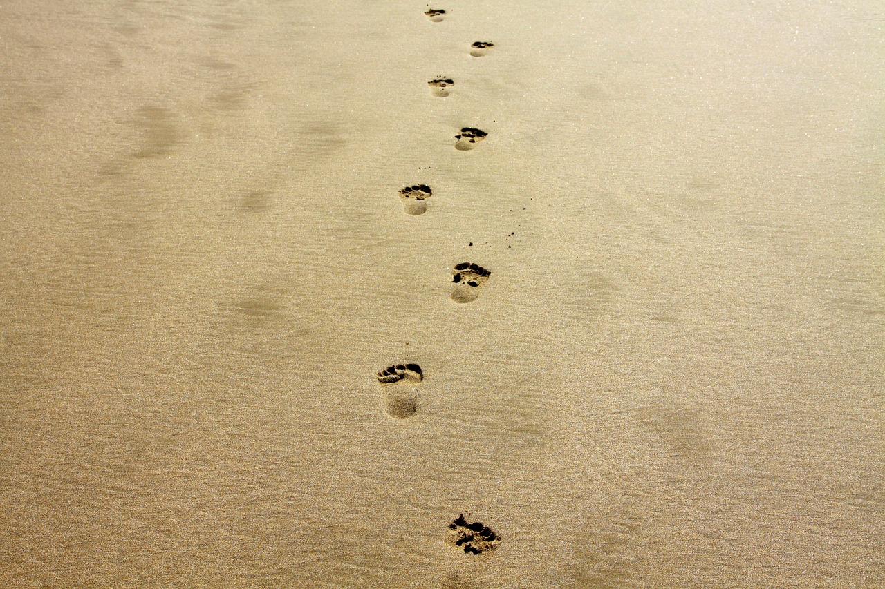 découvrez ce qu'est l'empreinte carbone et comment elle impacte notre environnement. apprenez à réduire votre empreinte à travers des actions simples et responsables, tout en contribuant à la lutte contre le changement climatique.