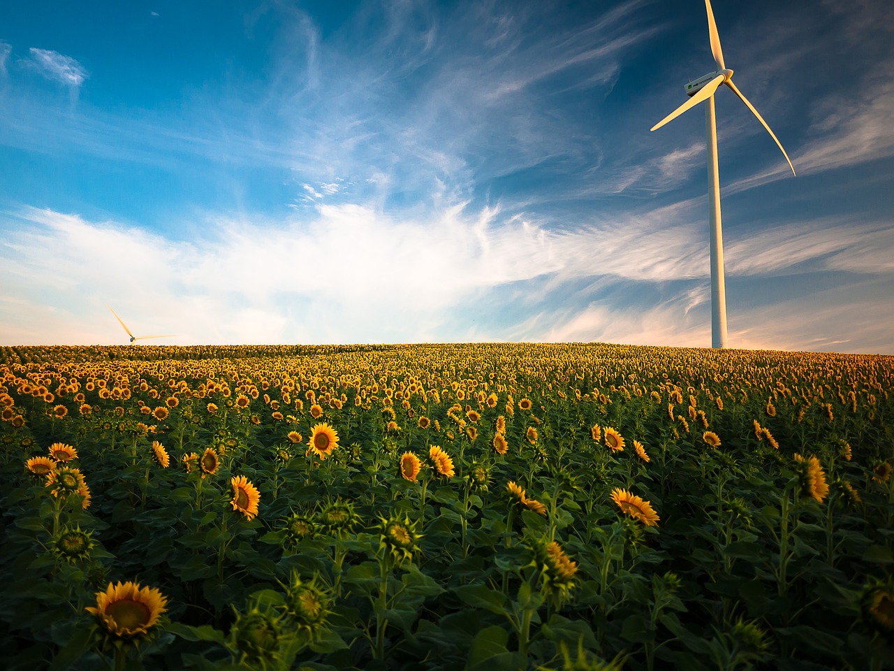 découvrez les enjeux et avantages des énergies renouvelables, une alternative durable pour un avenir plus vert. informez-vous sur les différentes sources d'énergie renouvelable et leur impact positif sur l'environnement.