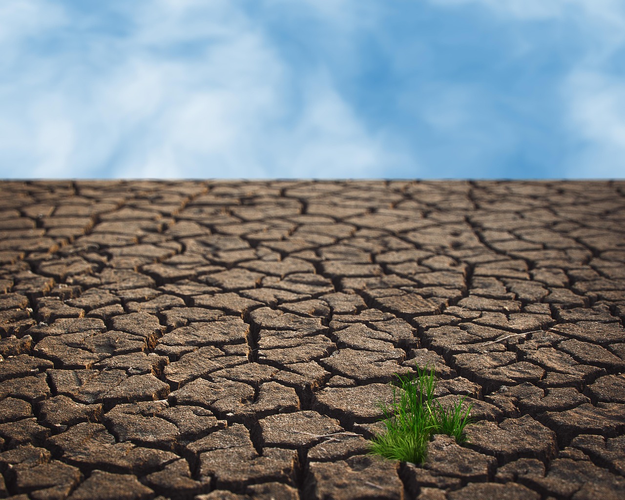 découvrez comment le changement climatique affecte notre planète, explorez les causes, les conséquences et les solutions possibles pour lutter contre cette crise mondiale. engageons-nous ensemble pour un avenir durable.