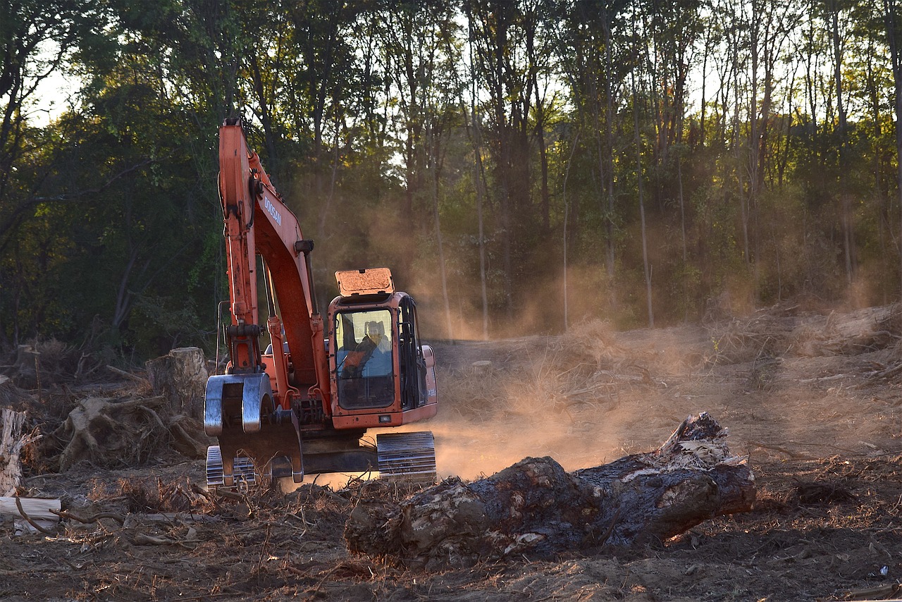 découvrez les enjeux de la déforestation, ses impacts environnementaux et sociaux, ainsi que les solutions pour préserver nos forêts et la biodiversité. informez-vous sur les actions à entreprendre pour lutter contre ce fléau.